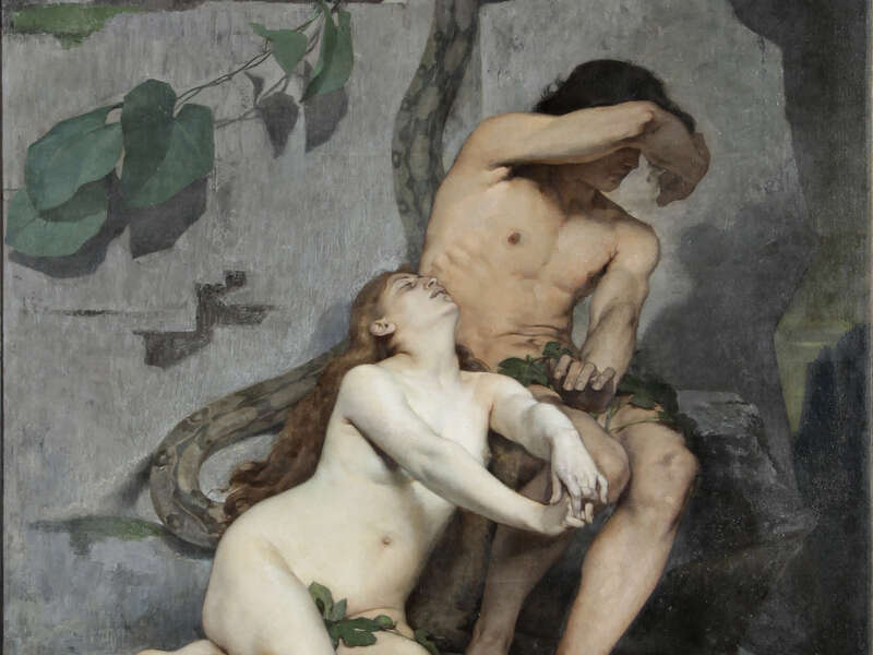 Voir l'image en grand